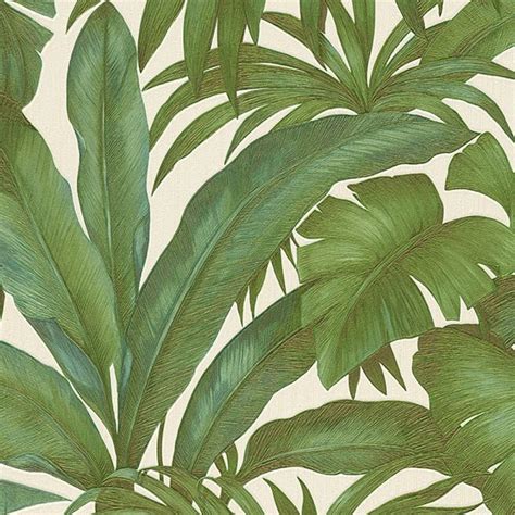 versace giungla palm tree wallpaper|Versace Giungla Banana Palm Leaves Wallpaper.